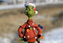 How To Be A Cindy Lou Who In A World Full Of Grinches
