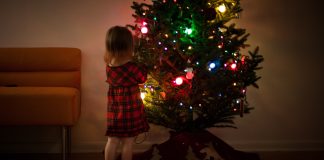 Brighten The Holidays: Knoxville’s Charitable Organizations
