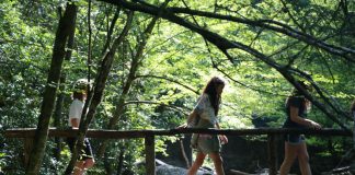 Camp Summer GSMIT