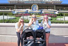 How To Survive A Walt Disney World Vacation In 2023 How To Survive A Walt Disney World Vacation In 2023