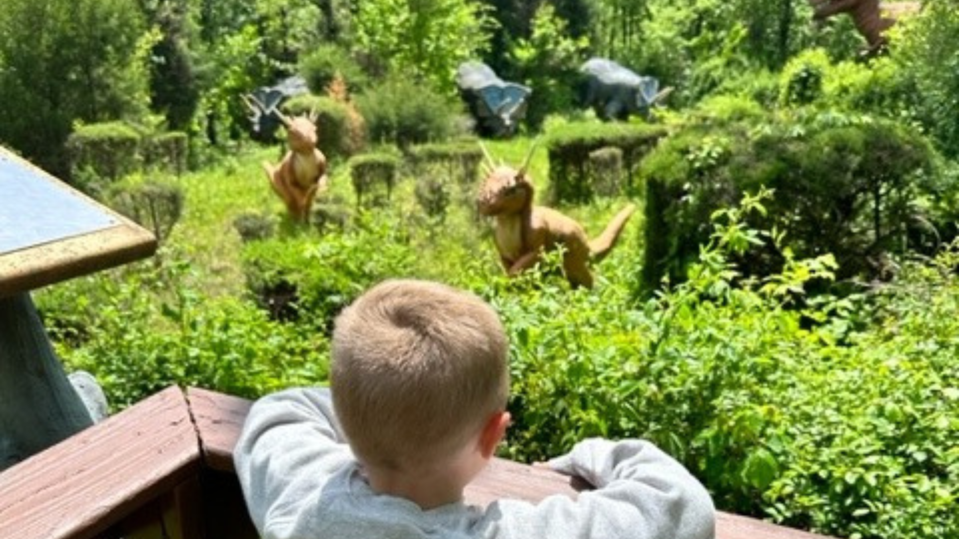 Do You Have A Dino-Loving Child? Add This To Your Summer Bucket List!