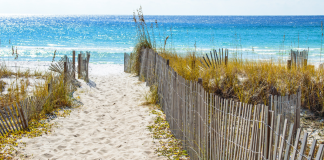 Guide to Alabama Beaches Gulf shores