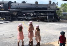 Family Fall Fun At Tennessee Valley Railroad