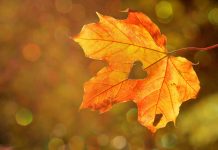 What Are You Thankful For This Year?