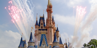 The Ultimate Disney Park Bag
