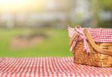 Best Picnic Spots in Knoxville & Beyond