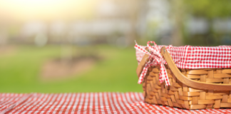 Best Picnic Spots in Knoxville & Beyond