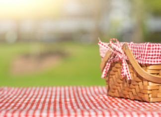 Best Picnic Spots in Knoxville & Beyond