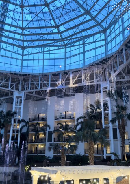 DC Light Show