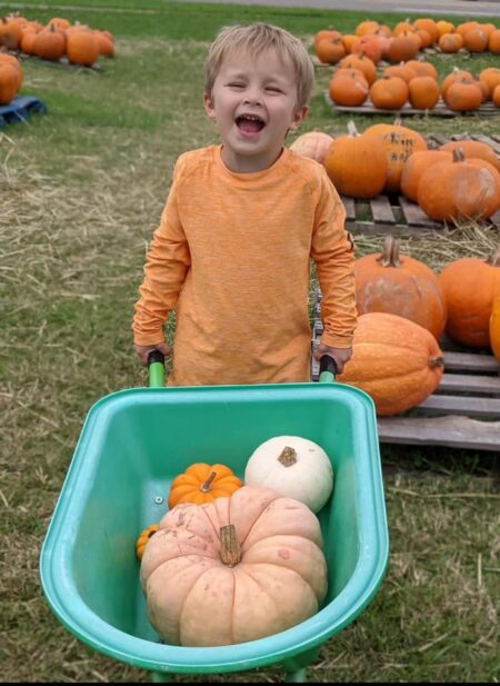 Oakes Farm Pumpkin