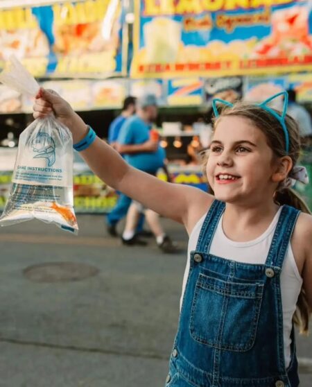 Tennessee Valley Fair