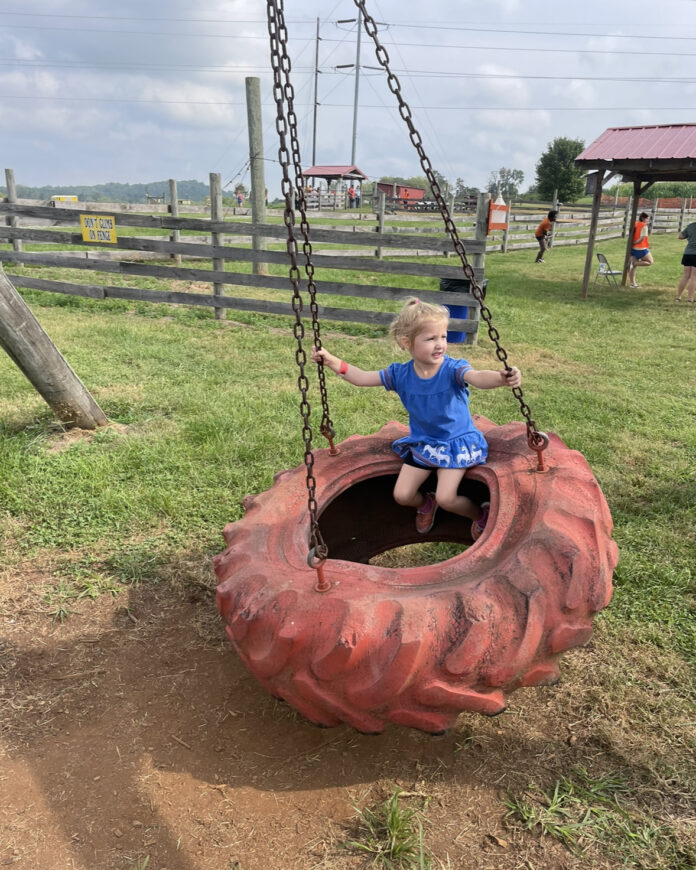 Mayfield tire swing