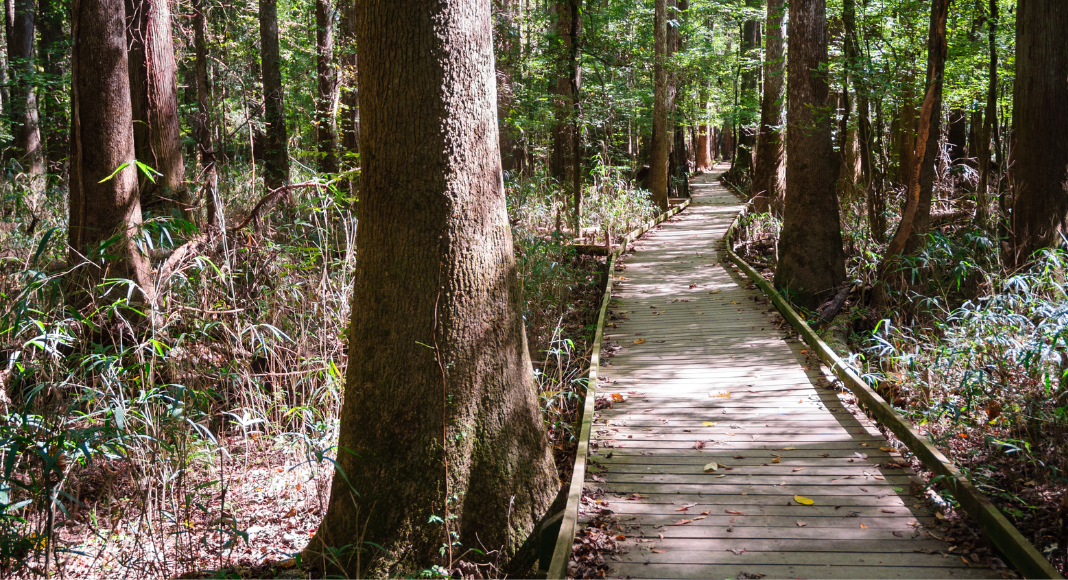 Congaree National Park