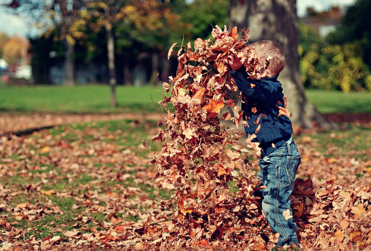 Fall Break On A Budget