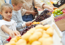 From Farm To Fork: Enjoy Knoxville’s Farmers Market With Your Little Foodies