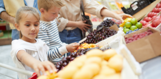 From Farm To Fork: Enjoy Knoxville’s Farmers Market With Your Little Foodies