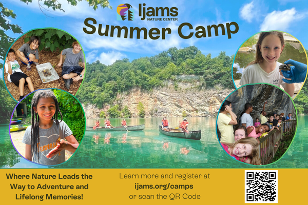 Ijams Summer Camps