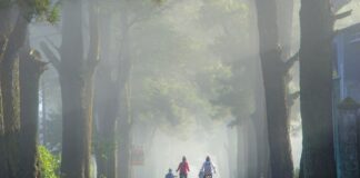 Chasing My Childhood