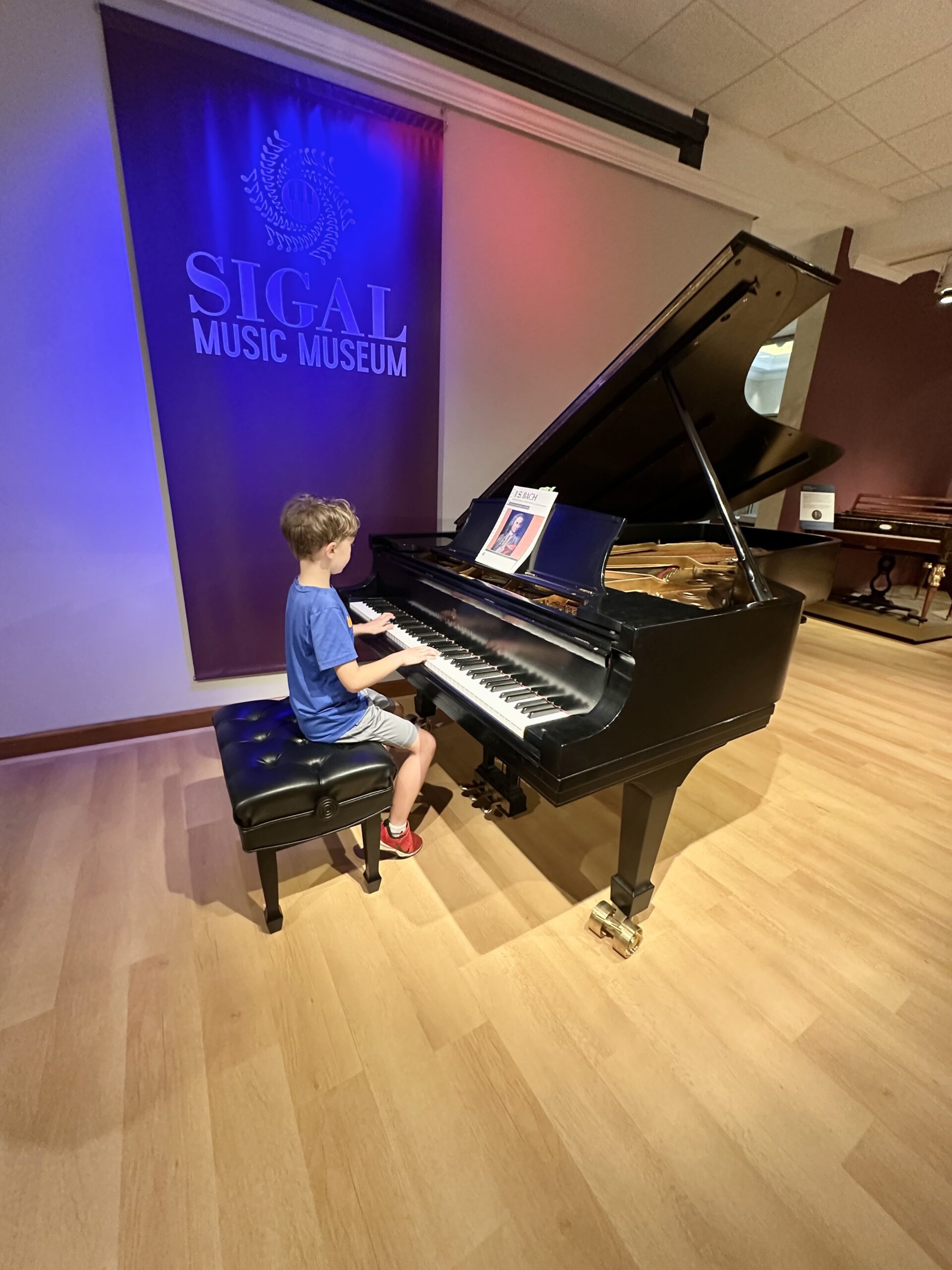 Grand Piano Signal Museum Grand Piano Signal Museum