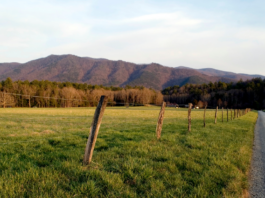 Cades Cove