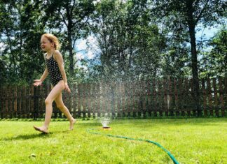 Summer Of My Dreams