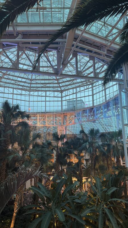 Lightshow at Opryland