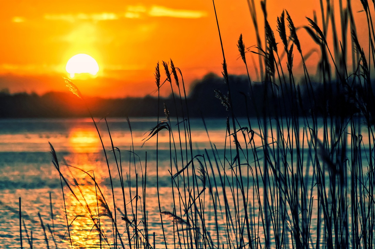 Planning Or Present: Embracing The Last Few Weeks Of Summer