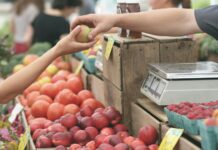 The Low Down On Grocery Shopping In And Around Knoxville The Low Down On Grocery Shopping In And Around Knoxville