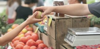 The Low Down On Grocery Shopping In And Around Knoxville