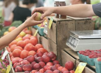 The Low Down On Grocery Shopping In And Around Knoxville
