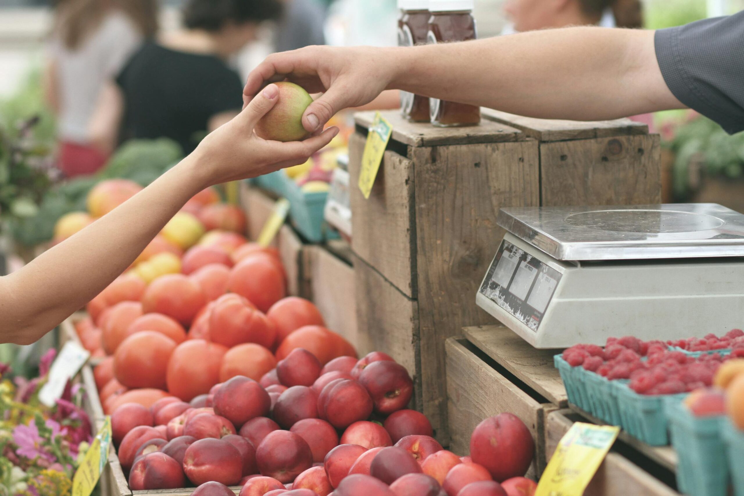 The Low Down On Grocery Shopping In And Around Knoxville
