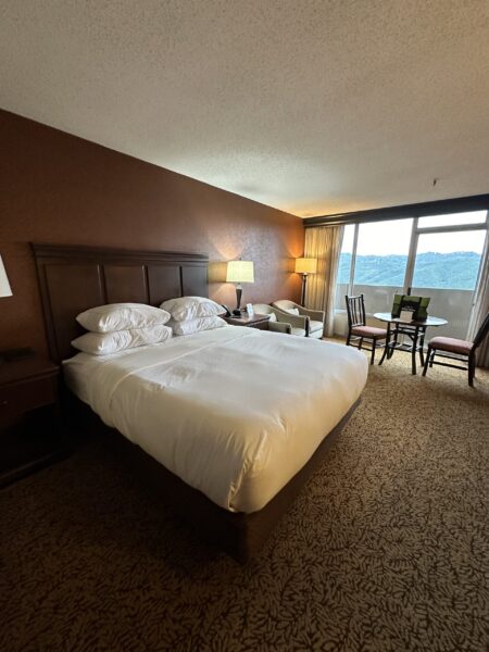 Park Vista Room