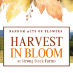 Harvest in Bloom (6)