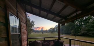 A Cozy Autumn Staycation In The Smokies