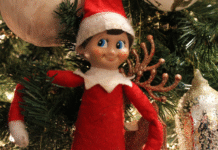 Elf On The Shelf Confessions