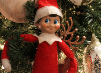 Elf On The Shelf Confessions