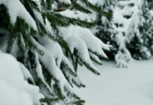 When Christmas Comes With Grief