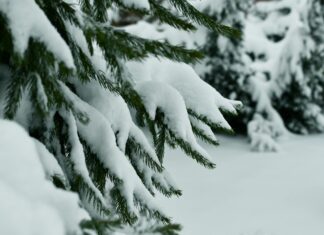 When Christmas Comes With Grief