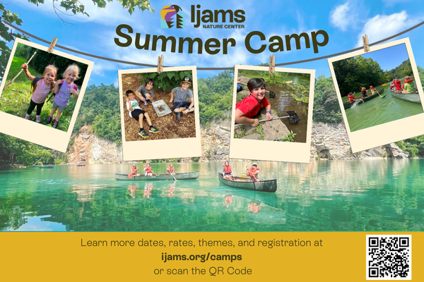 Ijams Nature Center Summer Camps