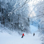 Winterplace-2025-MollyWolff-9