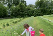 East Tennessee Flower Farms
