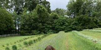 East Tennessee Flower Farms