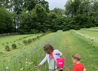 East Tennessee Flower Farms