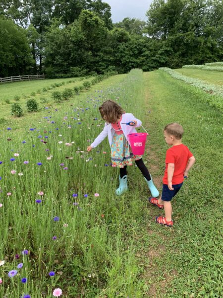 East Tennessee Flower Farms