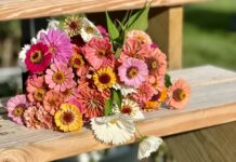 Growing Flowers To Cut And Arrange All Summer