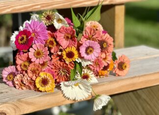 Growing Flowers To Cut And Arrange All Summer Growing Flowers To Cut And Arrange All Summer