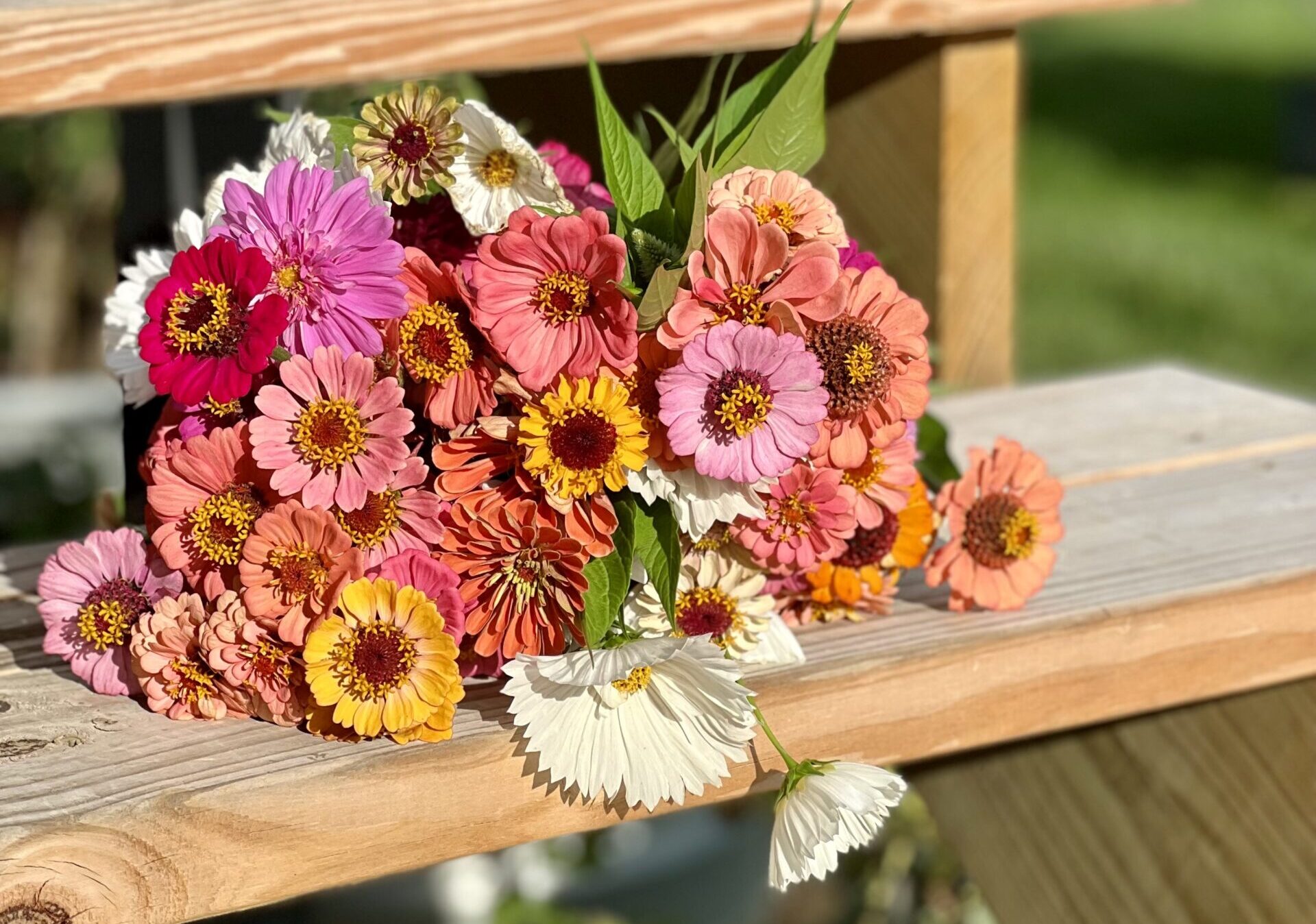 Growing Flowers To Cut And Arrange All Summer