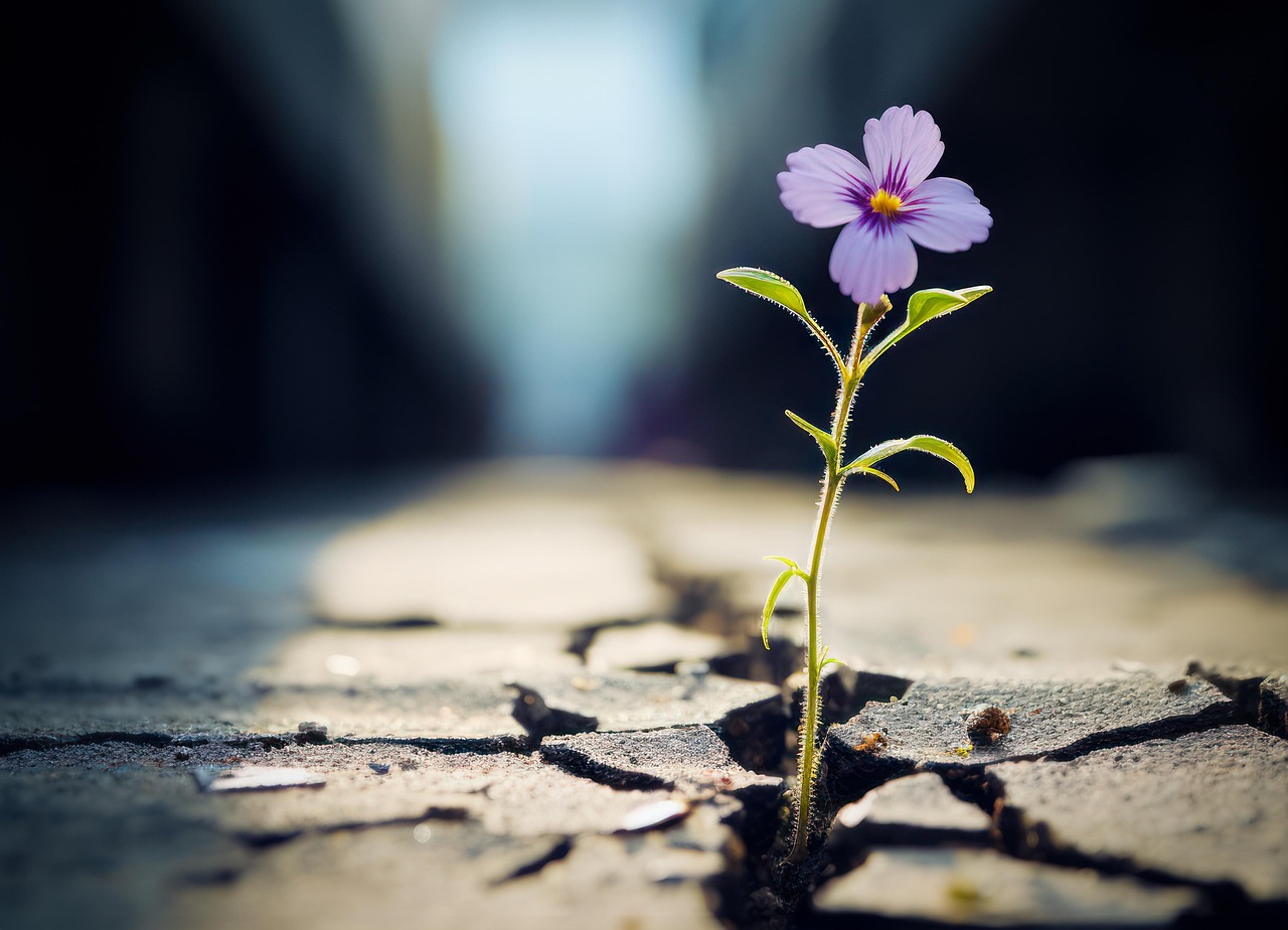 Building Resilient Children