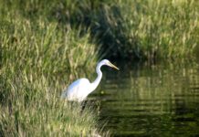 Seven Island State Birding Park