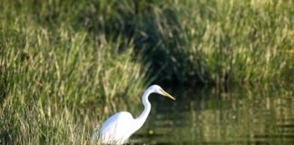 Seven Island State Birding Park